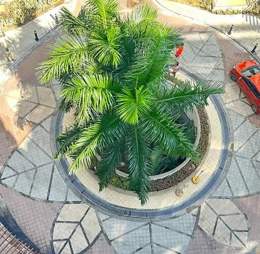 One Palm Tree Across Naia Terminal 3 Manila